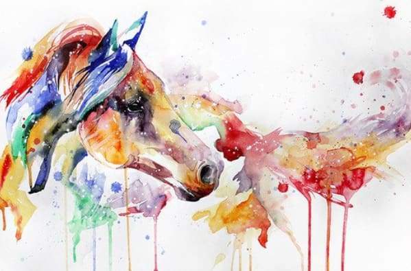 Paint by Numbers Kit - Watercolor Horse
