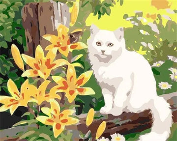 Paint by Numbers Kit - White Cat and Flower