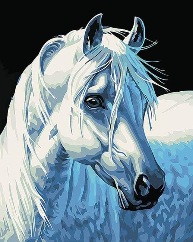 Paint by Numbers Kit - White Horse Head