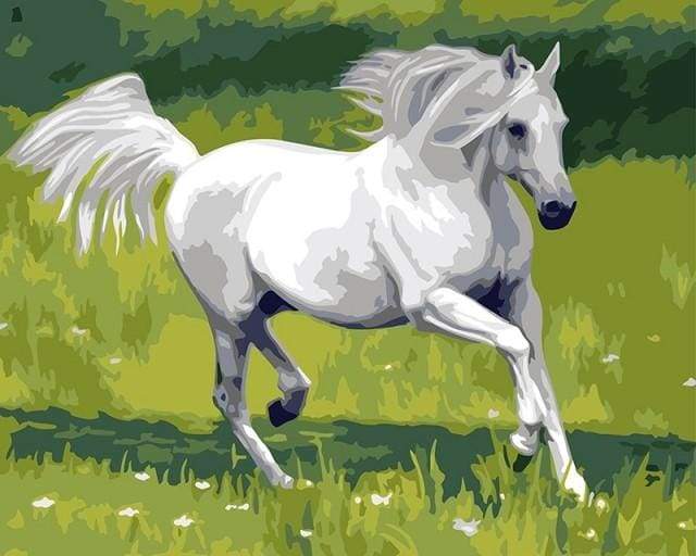 Paint by Numbers Kit - White Horse in the Field