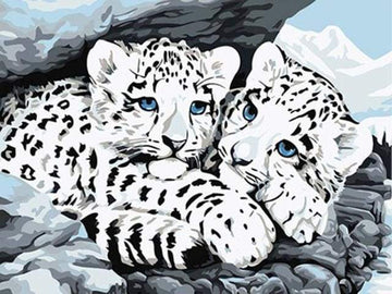 Paint by Numbers Kit - White Leopards