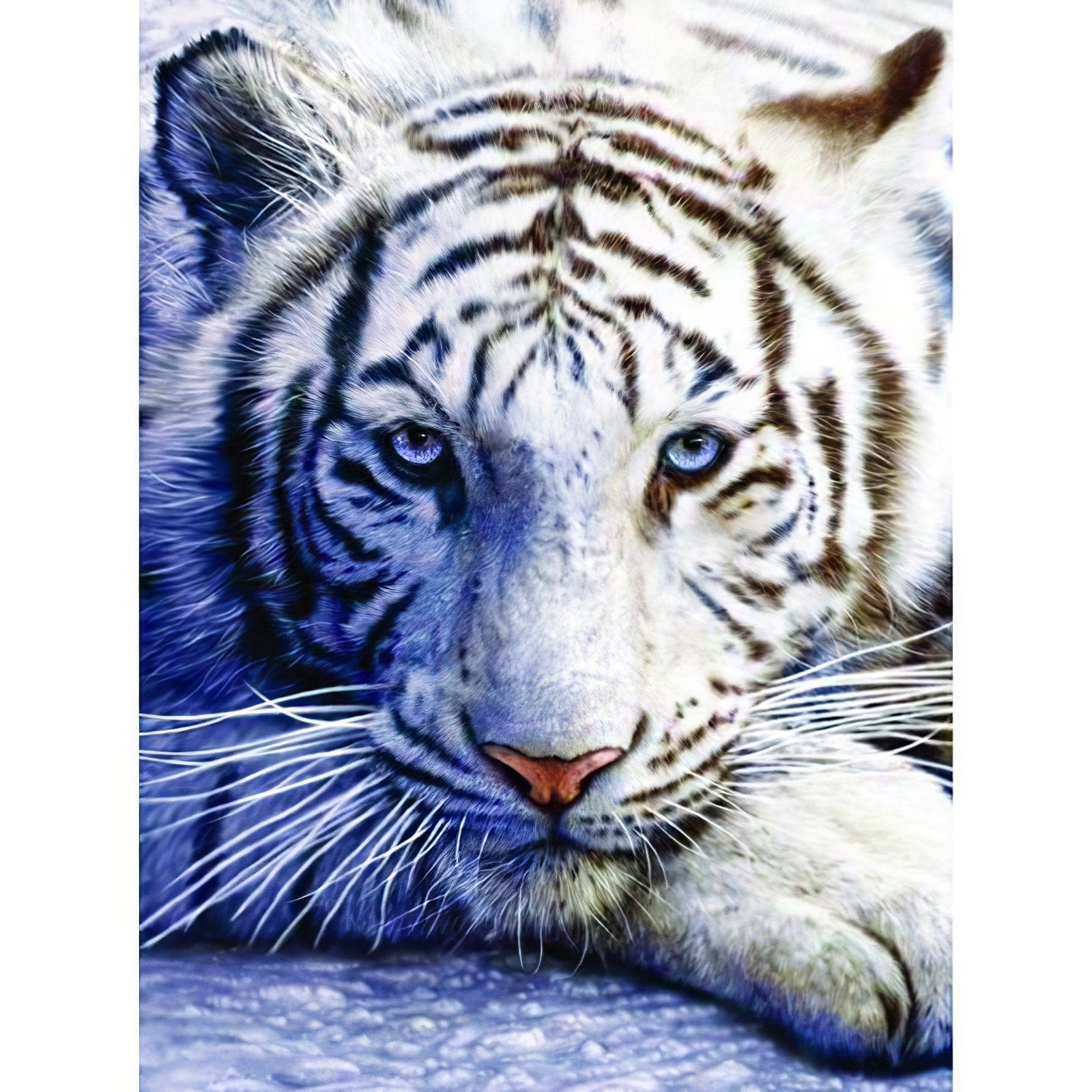 Diamond Paintings - White Tiger