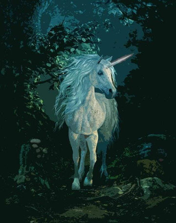 Paint by Numbers Kit - White Unicorn by Night