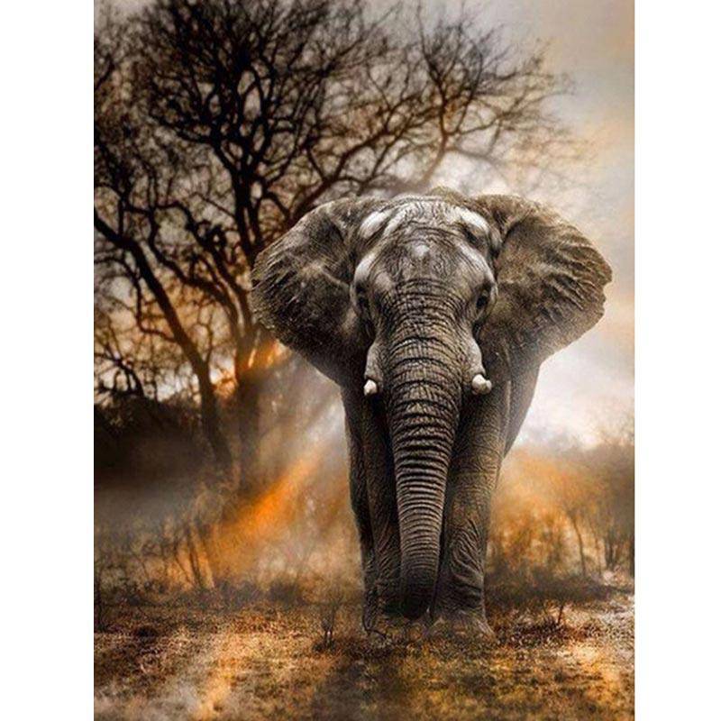 Diamond Paintings - Wild Elephant