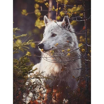 Diamond Paintings - Wolf In The Jungle