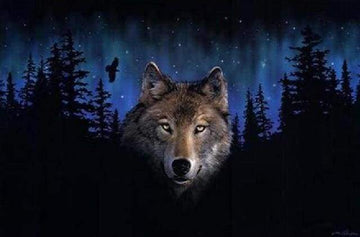 Paint by Numbers Kit - Wolf at Night