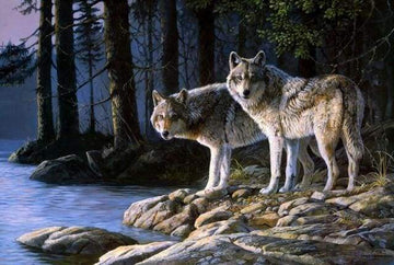 Paint by Numbers Kit - Wolves in the Forest