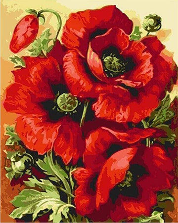 Paint by Numbers Kit - Wonderful Red Flowers