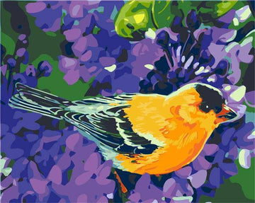 Paint by Numbers Kit - Yellow Bird and Purple Flower