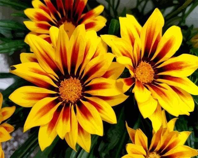 Paint by Numbers Kit - Yellow Flowers